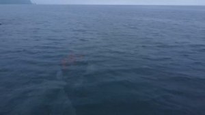 Выход на лодках из ковша в Новиково. На мыс Анива.