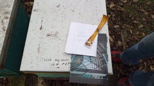 "Линии" карники :) у нас  на пасеке.