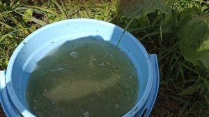 Рыбалка в Костроме.Карась.