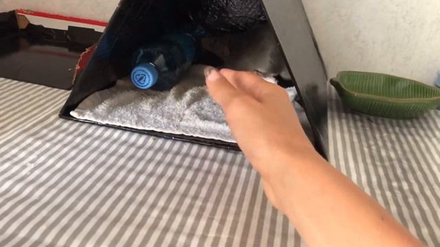 Крысе жарко, что делать? 4 способа помощи ? смотреть онлайн