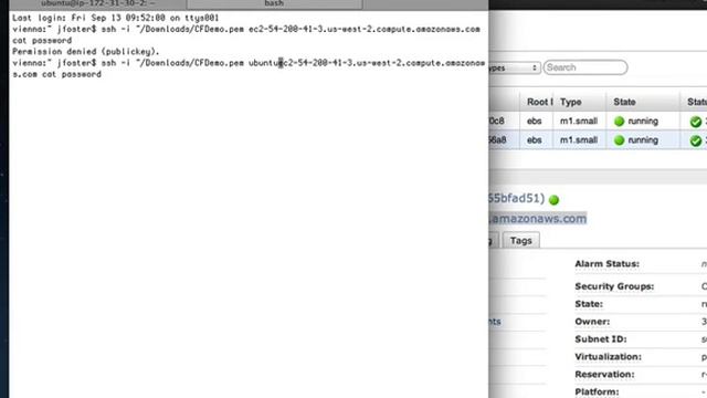 Micro Cloud Foundry Amazon Machine Image (AMI) on AWS EC2 смотреть онлайн