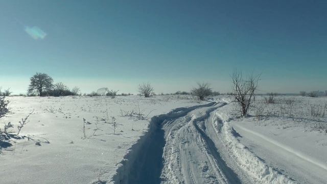 Слон в Ставрополе. Как найти Ставропольского слона. Новая достопримечательность Ставрополя