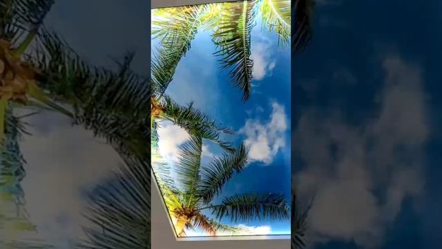 красивые натяжные потолки 28 фото смотреть онлайн