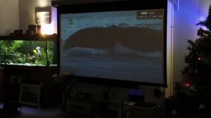 Home Theater Automation Setup