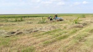 Грабли для мотоблока Работа в поле