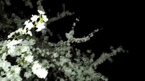 Алмазная корона 1 - 4 серии | Мелодрама 2021