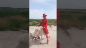 Girl rides her sheep 3