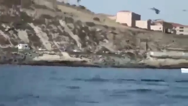 Живой динозавр смотреть онлайн