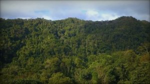 СЕЙЧАС АБСУРДНО БЕГАТЬ ЗА ДЕВУШКОЙ - Максим Дивертито про отношения и саморазвитие