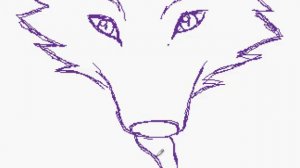 Как нарисовать глаза волка спереди и сбоку