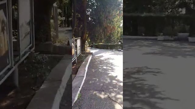 центр отдыха "Сочи" МО РФ смотреть онлайн