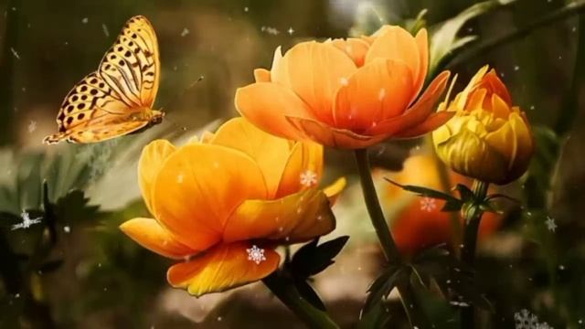 КУЁВИМ БИЛАН  МАЗА смотреть онлайн