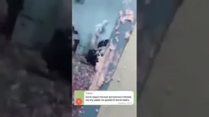 Пенная вечеринка с монтажной пеной...