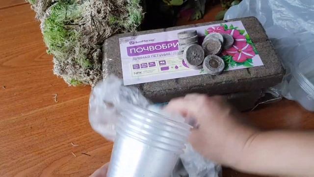 Осеннее черенкование /Какие растения черенкую/Грунт для черенков/Способы укоренения