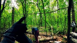 СТРОИМ ХИЖИНУ В ЛЕСУ! ОЧЕНЬ ЗАГАДОЧНЫЙ ЛЕС!!!