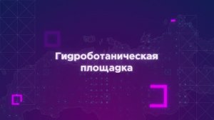 Технологии — гидроботаническая площадка