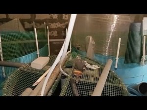 Думаю завязывать с УЗВ, дорогое увлечение, нужно наверно отдохнуть.