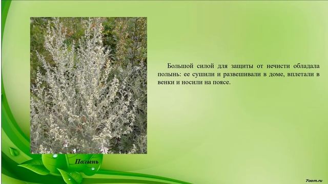 Виртуальный час фольклора "День Ивана Купалы: обычаи и традиции праздника" смотреть онлайн