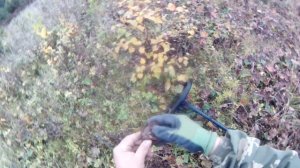 коп с тёркой 705(какой он есть на самом деле!)