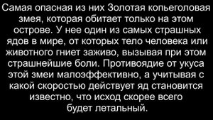 Самый опасный остров Кеймада-Гранди