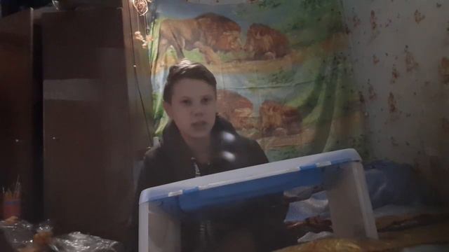 Самые экзотические фрукты и овощи из дикси смотреть онлайн