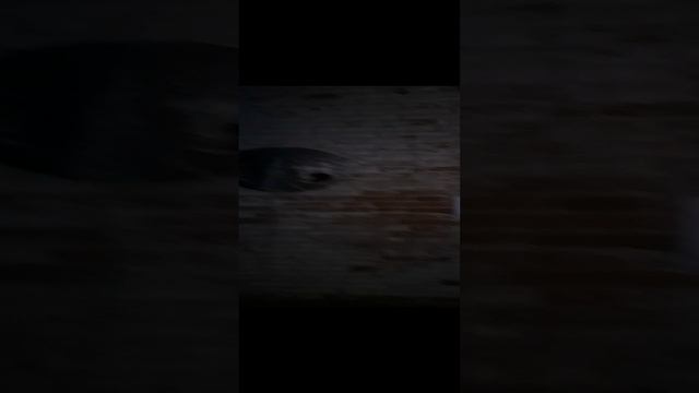 Тарковский. Вселенные (1).mp4