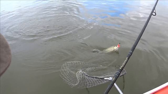 ШОК !!! БОНУСЫ С УТРА ДАЮТ ЖАРУ !!!ЭТИ РЫБИНЫ ИСПЫТЫВАЮТ СНАСТЬ НА ПРОЧНОСТЬ!!!! смотреть онлайн