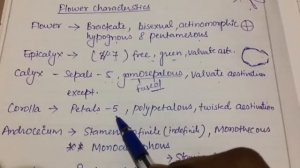 NEET/AIIMS 2018 Malvaceae family introduction , Flower character and formula.