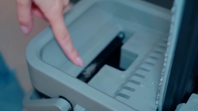 КУПАЮ В ВАННОЙ КОШКУ И СОБАКУ С ЁЖИКОМ | ГЕНЕРАЛЬНАЯ УБОРКА ДОМА С ПИТОМЦАМИ - ZETTER