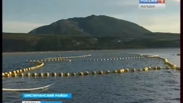 Лососевая рыбалка на Пестрой Дресве не задалась смотреть онлайн