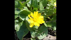 С Днем Рождения Татьяна Нева