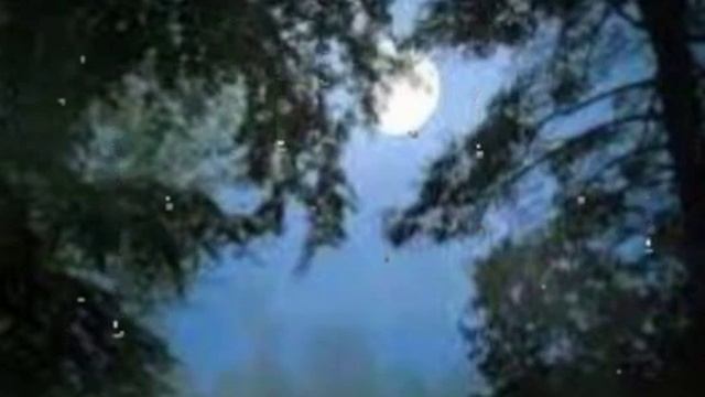 МУЗЫКА ДЛЯ СНА | ЗВУКИ ДОЖДЯ смотреть онлайн