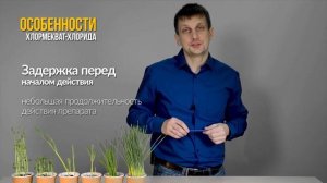 АГРОСЕКРЕТЫ: Регуляторы роста против полегания