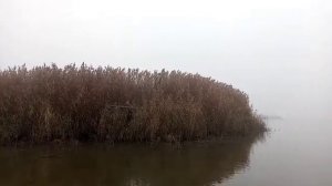 Охота на дичь на Каспие 21.11.21.