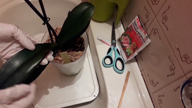 Боремся с ВРЕДИТЕЛЯМИ. Повторная обработка фитовермом. смотреть онлайн