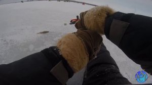 Ловля Окуня по Перволедью. Открытие 2016-2017!