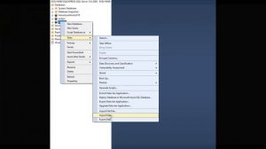 Import Data from Excel to SQL Server Management Studio