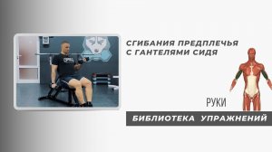 Круглый и большой бицепс делается именно так.