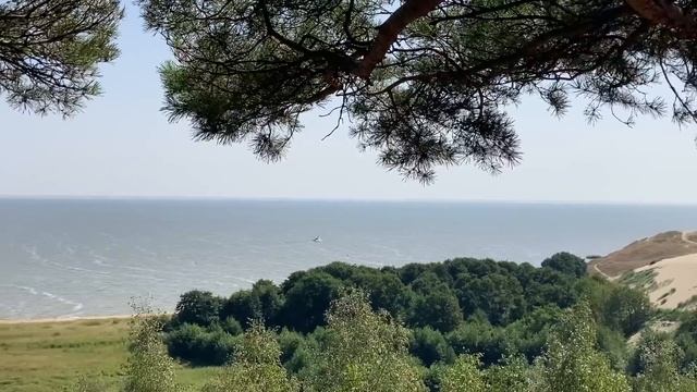 ЕЁ ХАЛАТИК ЗАДРАЛСЯ САМ... Истории из жизни. Жизненные рассказы, измена жены смотреть онлайн