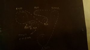 Subaru Tribeca B9 Съем приводного ремня и замена подшинника ролика