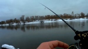 Ловля окуня зимой на микроджиг