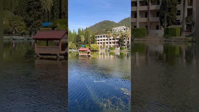 Нереальная осень в Абхазии 🌞🌊🍁🌴