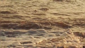 Иосиф Бродский - Когда так много позади (С видом на море)