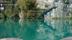 my fishing world как поймать щука травянка лучшие способы