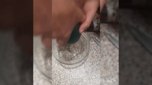 Яйцо страуса Эму