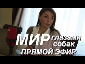 Прямой эфир.Наш мир глазами собак.С Вами кинолог Наталья Севостьянова
