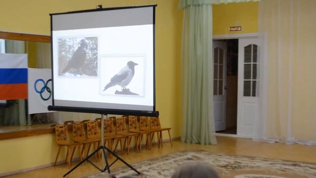 Нод в средней группе Птицы зимующие и перелётные