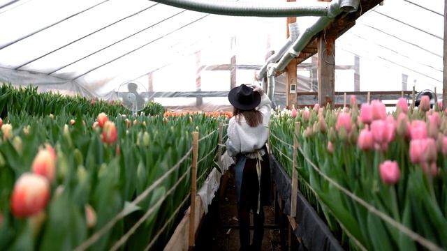 Музыка для хорошего настроения | Лучшая музыка | Медитативная | Music | Meditative | Relaxing смотреть онлайн