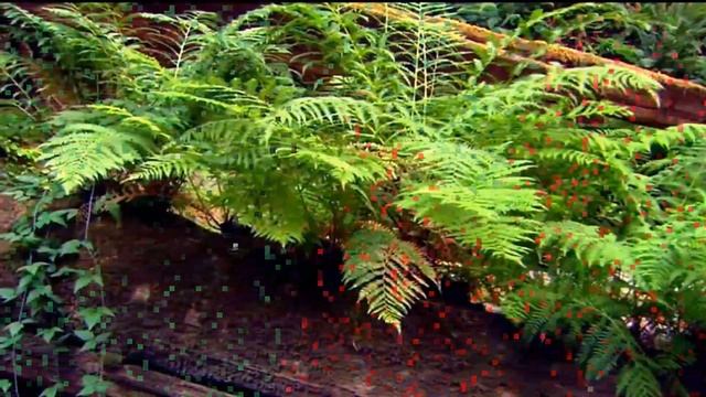 “Последнее летнее утро…”стихи Ирины Фетисовой (Мullerson) Мелодекламация Алексея Брюшневского смотреть онлайн