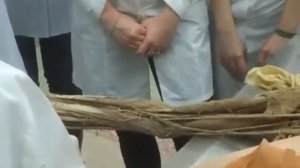 АНАТОМИЯ(Мышцы верхней конечности).mp4